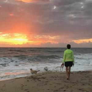 Meet your Posher, Anne